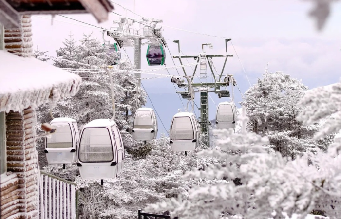 Cùng Đi Kiệu Tử Sơn- Côn Minh 4N3Đ - 10