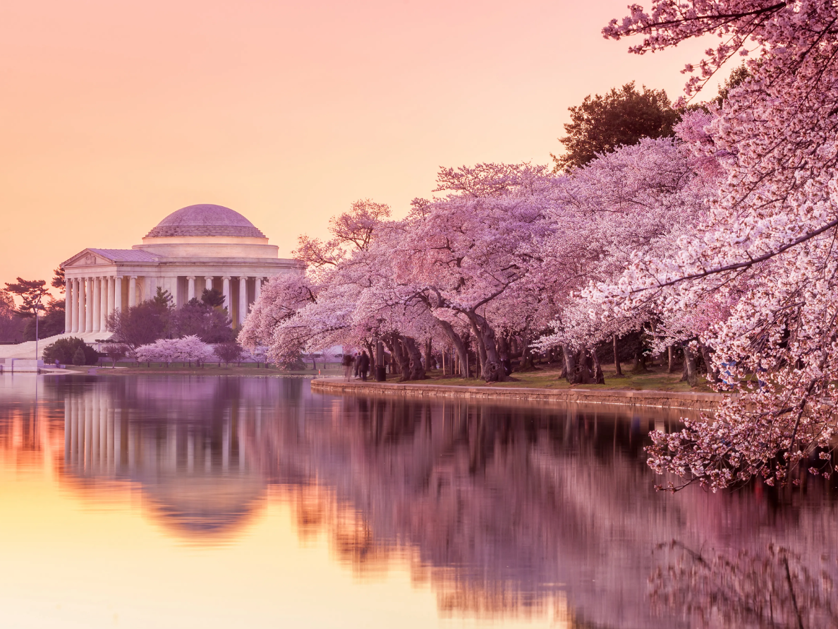 Du Ngoạn Nước Mỹ Mùa Hoa 12N11Đ - 1