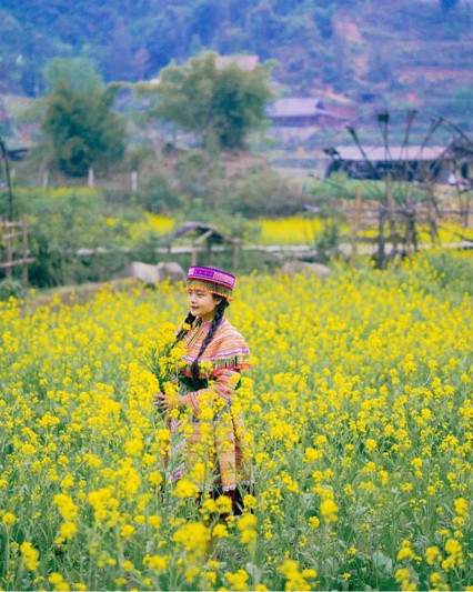 Tour Du Lich Sai Gon Ha Noi Sapa Ninh Binh Ha Long - 2