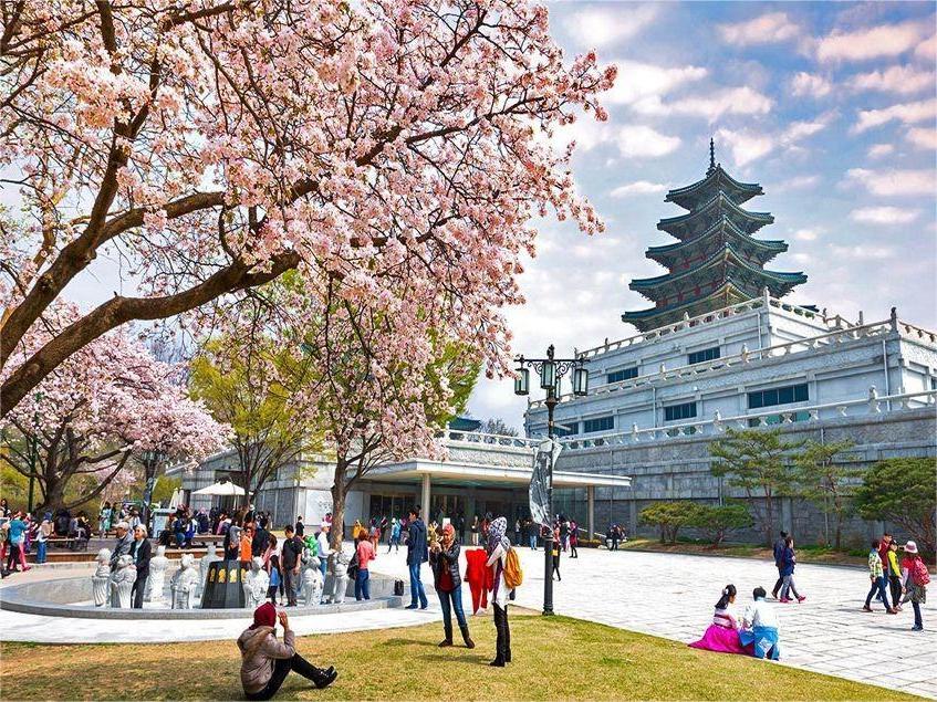 Thưởng Ngoạn Sắc Đào Xứ Hàn 5N4Đ - 2