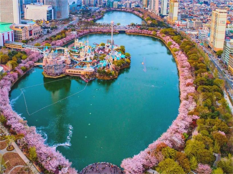 Thưởng Ngoạn Sắc Đào Xứ Hàn 5N4Đ - 8