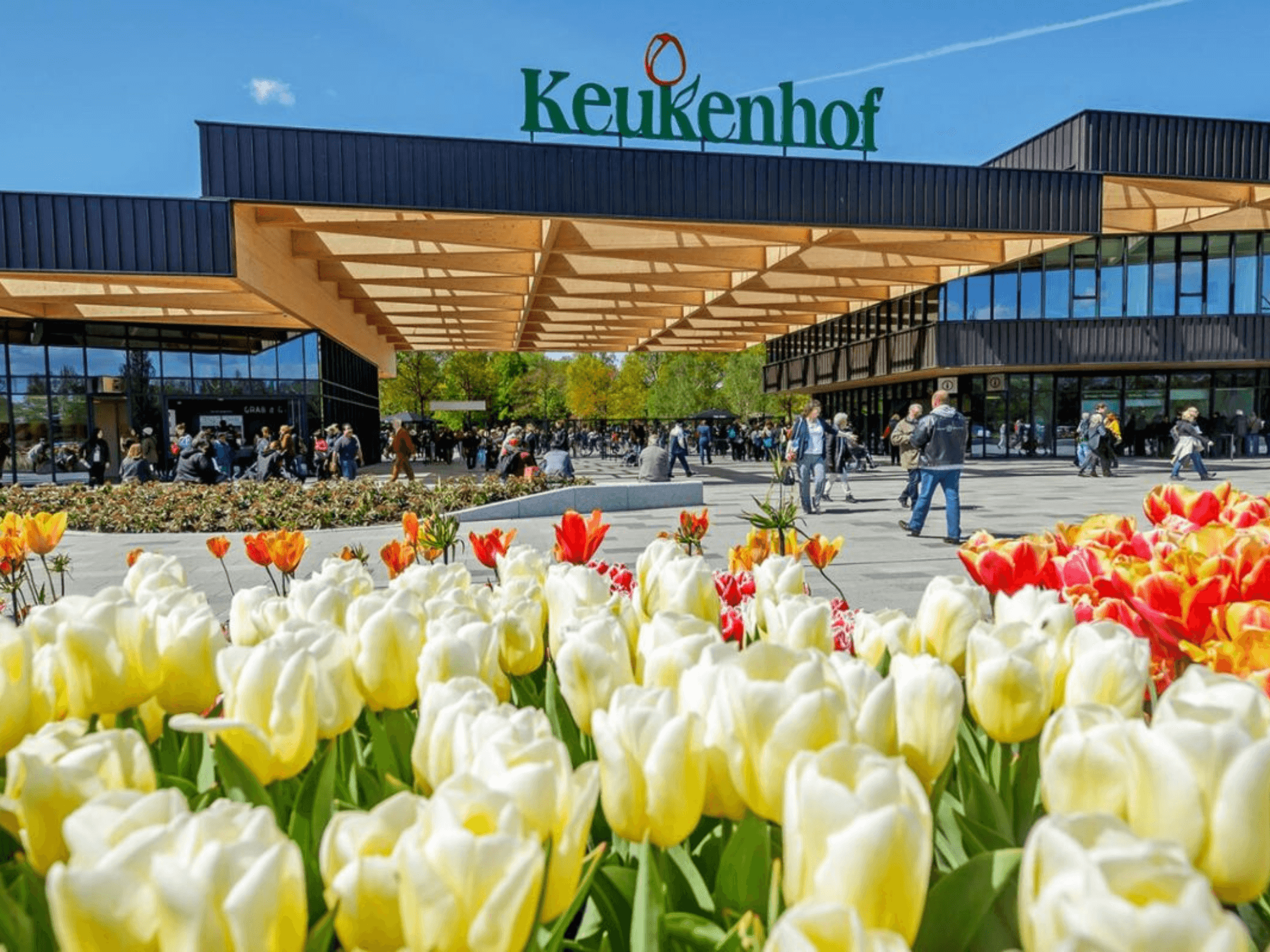 ĐỨC - ÁO - SÉC - HÀ LAN - HOA TULIP- 8N7Đ - 6