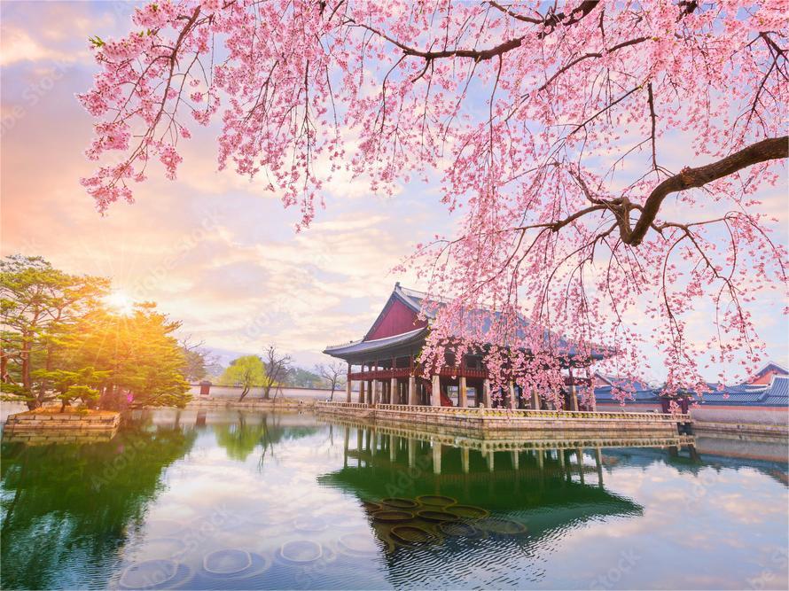 Thưởng Ngoạn Sắc Đào Xứ Hàn 5N4Đ - 7