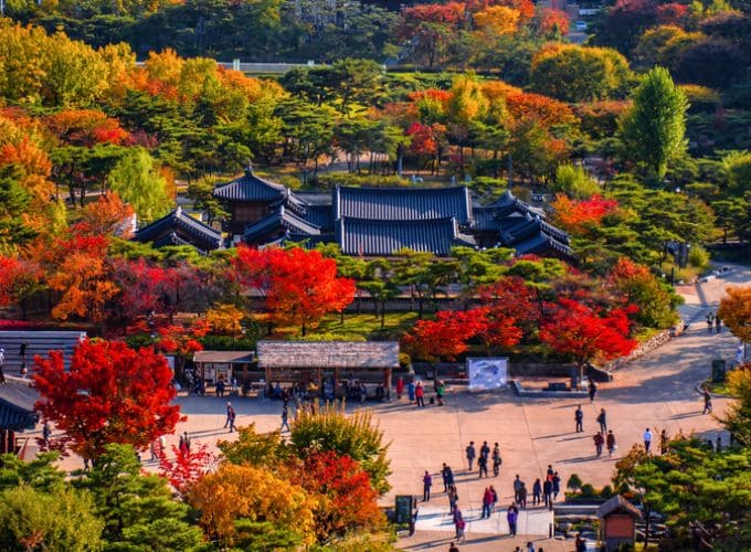 Thưởng Ngoạn Sắc Đào Xứ Hàn 5N4Đ - 9