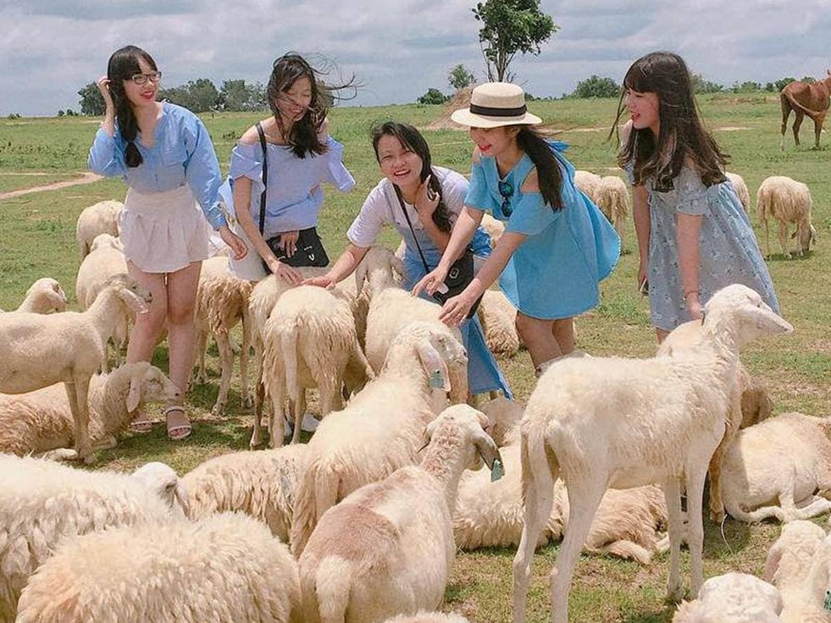 Teambuilding Vũng Tàu - 5