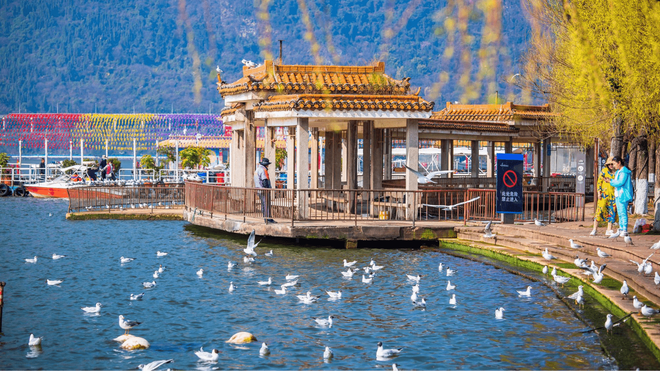 Cùng Đi Kiệu Tử Sơn- Côn Minh 4N3Đ - 6