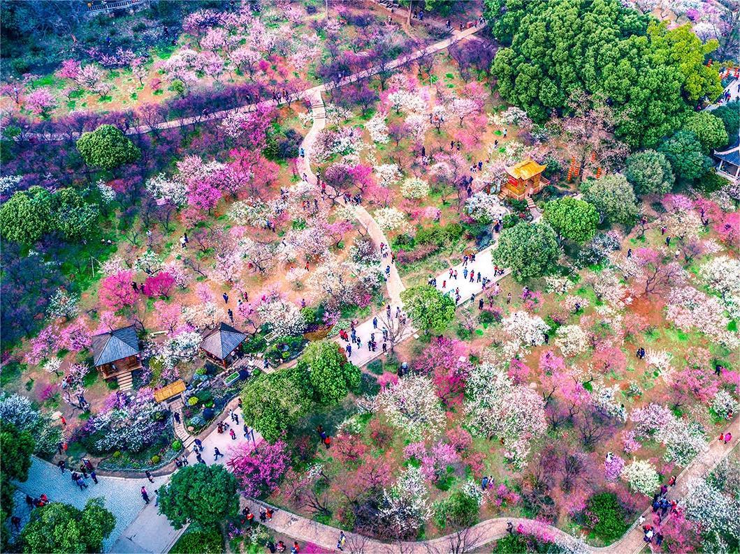 Thưởng Ngoạn Sắc Đào Xứ Hàn 5N4Đ - 4