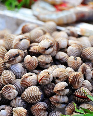 Hành trình về thăm Xứ Nẫu- Phú Yên Thân yêu 4 ngày 3 đêm - 9