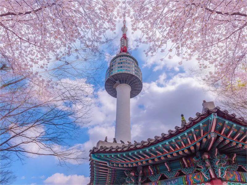 Thưởng Ngoạn Sắc Đào Xứ Hàn 5N4Đ - 10