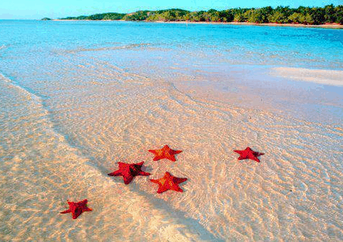 Cùng Đi Phú Quốc - khởi hành hàng ngày - 4