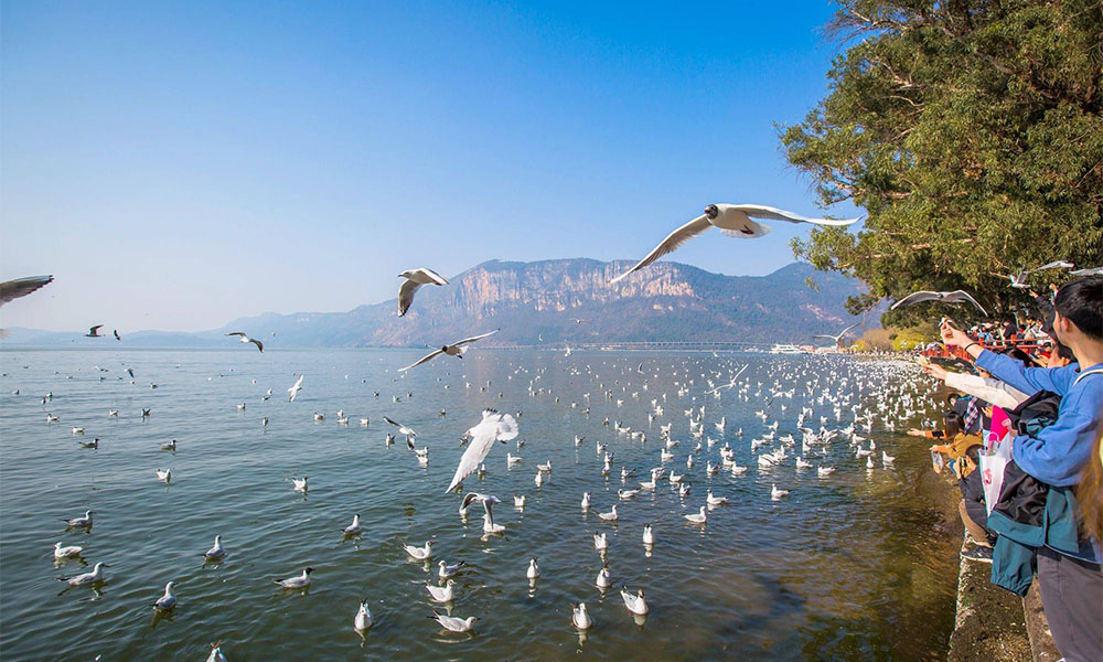 Cùng đi Trung Quốc: Côn Minh mùa phượng tím - 5