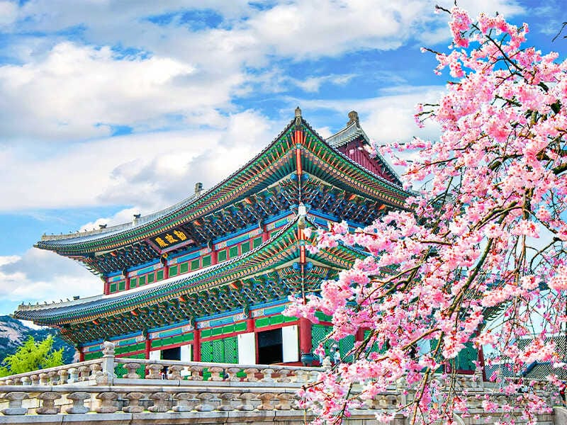 Chi phí đi Hàn Quốc 2026 bao nhiêu tiền? Cập nhật chi tiết từ A–Z