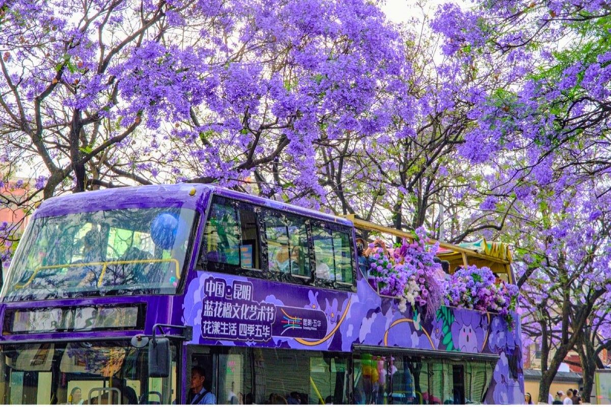 Cùng đi Trung Quốc: Côn Minh mùa phượng tím - 3