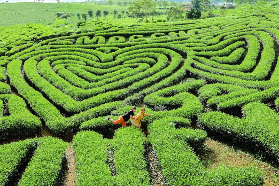 Cùng đi Hà Nội - Hạ Long - Ninh Bình - Mộc Châu - 9