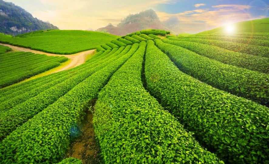 Cùng đi Hà Nội - Hạ Long - Ninh Bình - Mộc Châu - 7