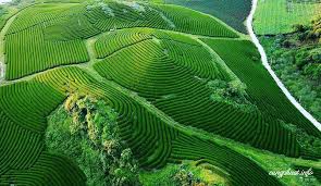 Cùng đi Hà Nội – Sa Pa – Điện Biên – Mộc Châu - 4