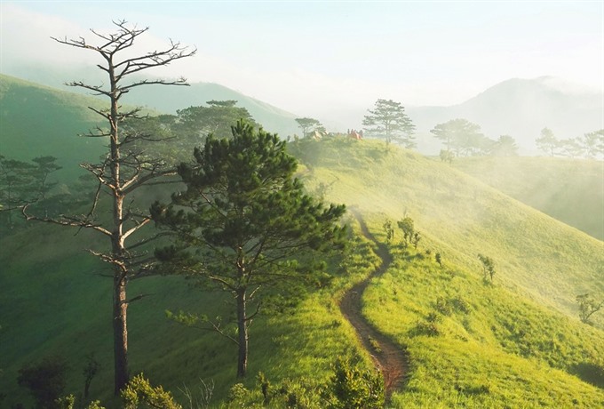 Trekking Tà Năng - Phan Dũng - 6