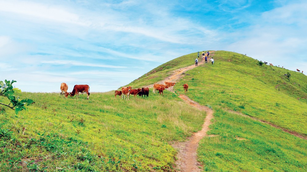 Trekking Tà Năng - Phan Dũng - 3