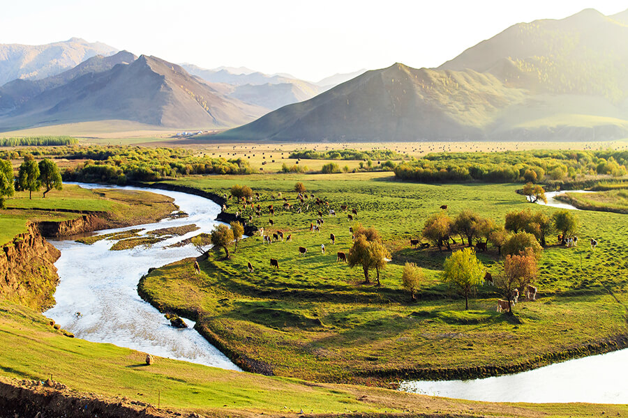 Mông Cổ: Ulannbaatar – Kharkhorin – Mongol Nomadic - 10